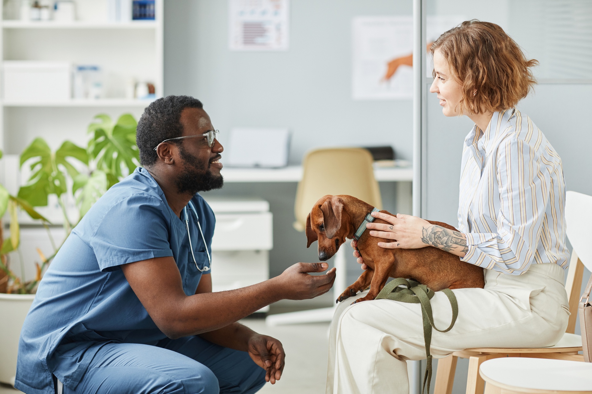 Explore Animal Care with 'A Vet in the Making' Course