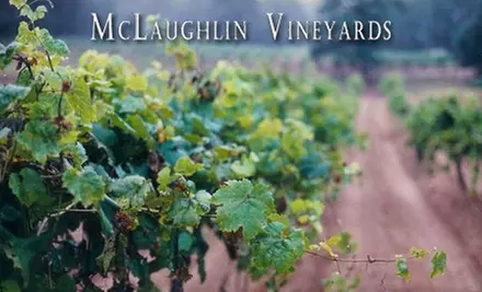 $17 for a Wine Tasting for Two, Two Wine Glasses, and One Bottle of Wine at McLaughlin Vineyards ($34 value)  - Primary Image