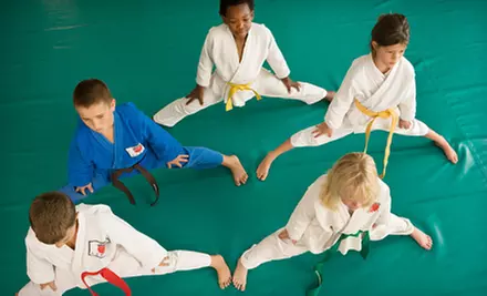 One Month of Kenpo Karate Classes for an Individual or Parent and Child at Wiseman's Martial Arts (Up to 71% Off) - Primary Image