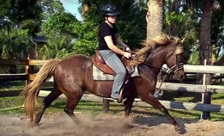 Guided Trail Ride or Horseback-Riding Lesson at Choyce Party Ponies Clown & Bounce in Palm City - Primary Image