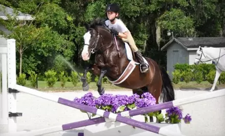 One or Three One-Hour Horse-Riding Lessons at WestWood Farms LLC (Up to 64% Off) - Primary Image
