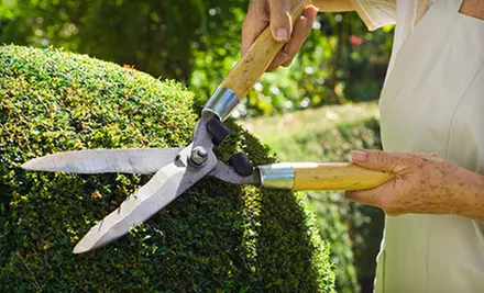$99 for Three Hours of Fall Landscaping and Cleanup from Ozark Outdoor Services ($375 Value) - Primary Image