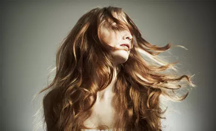Haircut and Style or a Targeted Body Wrap at Beaches Hair Studio in Hobe Sound - Primary Image
