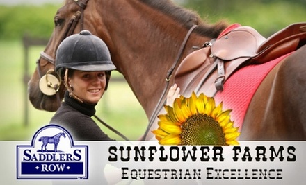$55 for a Two-Hour Horse-Riding Lesson Plus Helmet at Saddlers Row and Sunflower Farms ($130 Value) - Primary Image