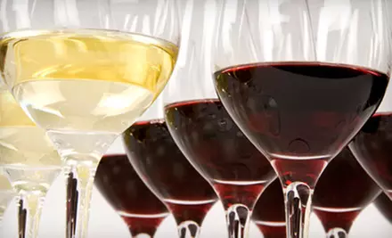 $59 for an In-Home Wine Tasting for Up to 16 People from Wines for Humanity (Up to a $296 Value) - Primary Image