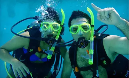 $199 for PADI Open-Water Scuba-Certification Course at Squalo Divers ($450 Value) - Primary Image