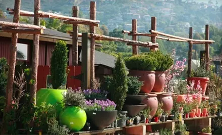 $25 for $50 Worth of Plants, Gardening Supplies, and More at Laguna Nursery in Laguna Beach - Primary Image