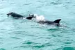 Up to 28% Off on Boat Tour at SANDY BOTTOM BOAT TOURS - Second Medium