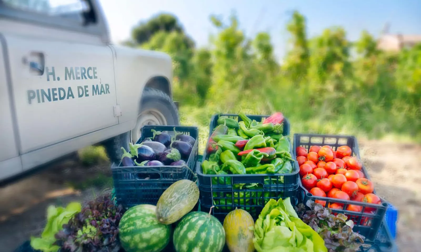Pineda de Mar : chambre standard en demi-pension ou pension complète