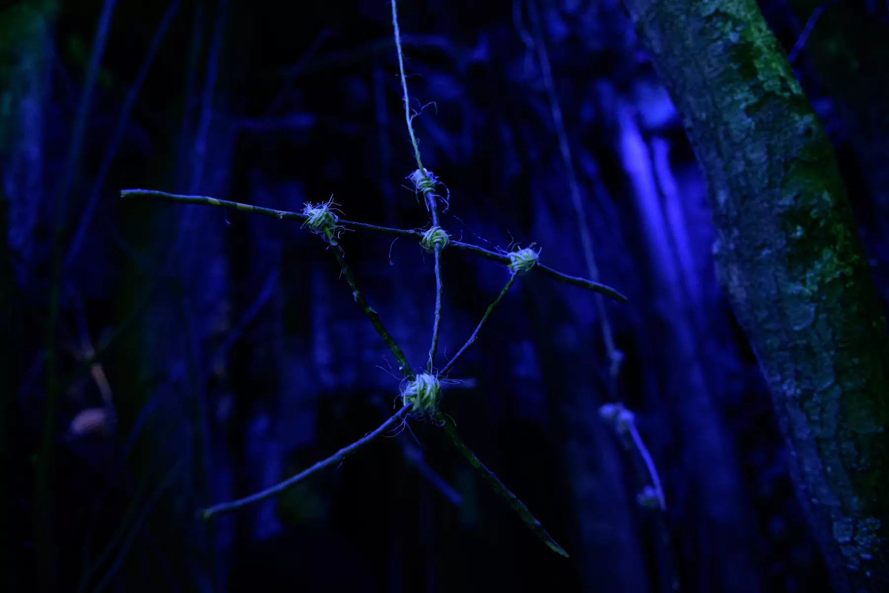 Up to 56% Off Admission to Blair Witch Escape Room