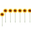 Image 7: 6- or 12-Packs of Pansy or Sunflower Design Stakes