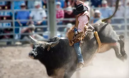 One Ticket to West Palm Beach Rodeo's Rodeo Crashes with Fashion (Up to 60% Off). Seven Options Available. - Primary Image