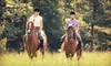 Trail Ride with Gourmet Lunch or Cookout Dinner for Two, Four, or Six at Kimberly Farms in North Bennington (Up to 60% Off)