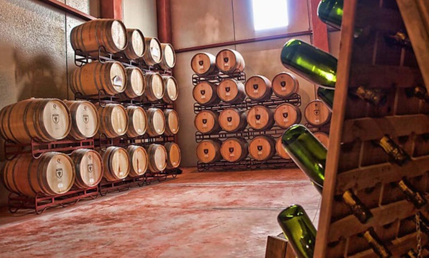 Image 6: Visita guiada a bodega con cata de 3 vinos y tapas para 2 o 4 personas