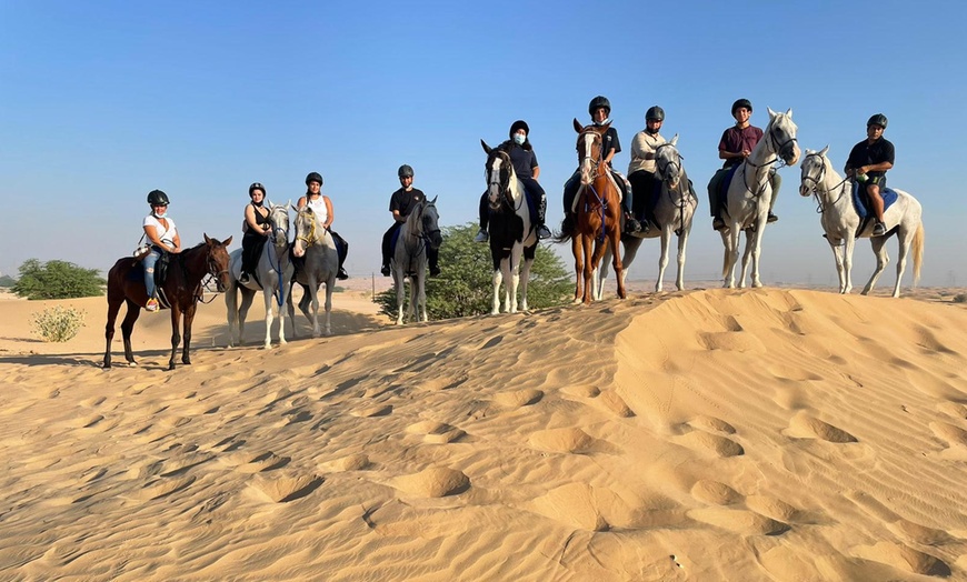 Image 2: Gallop Through the Sands with Desert Horse Riding for 1, 2, or 4