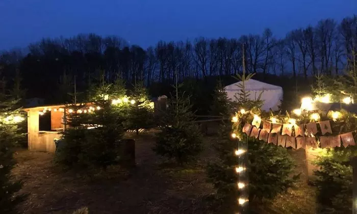 Nordmanntanne in Premium-Qualität bis zu 2,5 m inkl. 4 Getränken