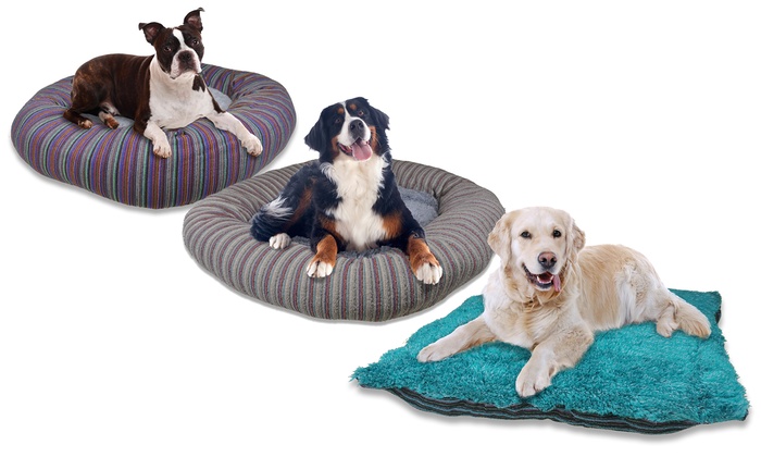 Eco-Friendly Pet Beds | Groupon Goods