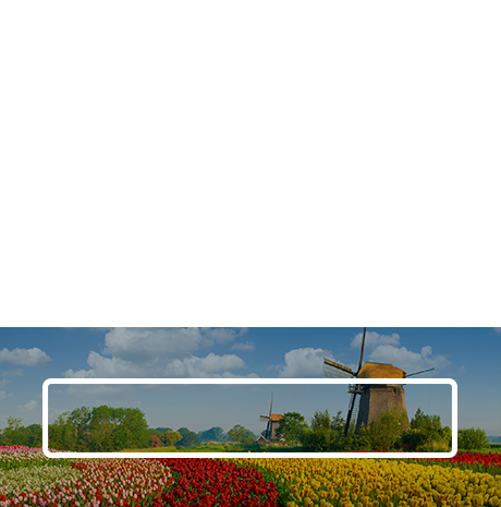 Typisch Nederlands