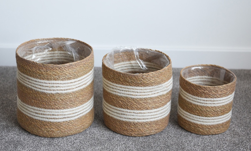 Image 10: Seagrass Planter Basket