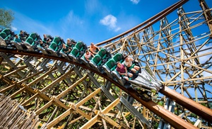 Walibi Village: 1-3 nachten incl. met toegang pretpark