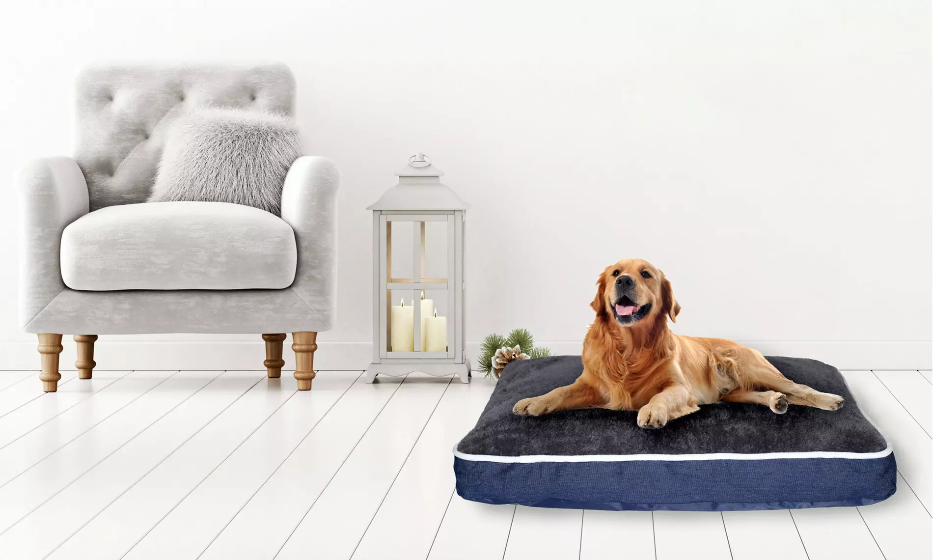 Lit pour chien 4 saisons Datexx - Primary Image