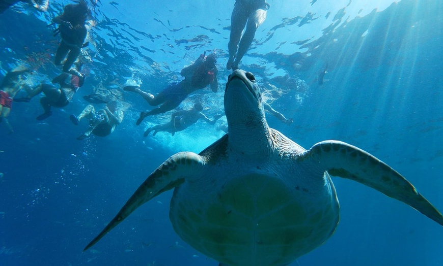 Image 8: Explora la costa de Palm-Mar con una aventura en kayak y snorkel