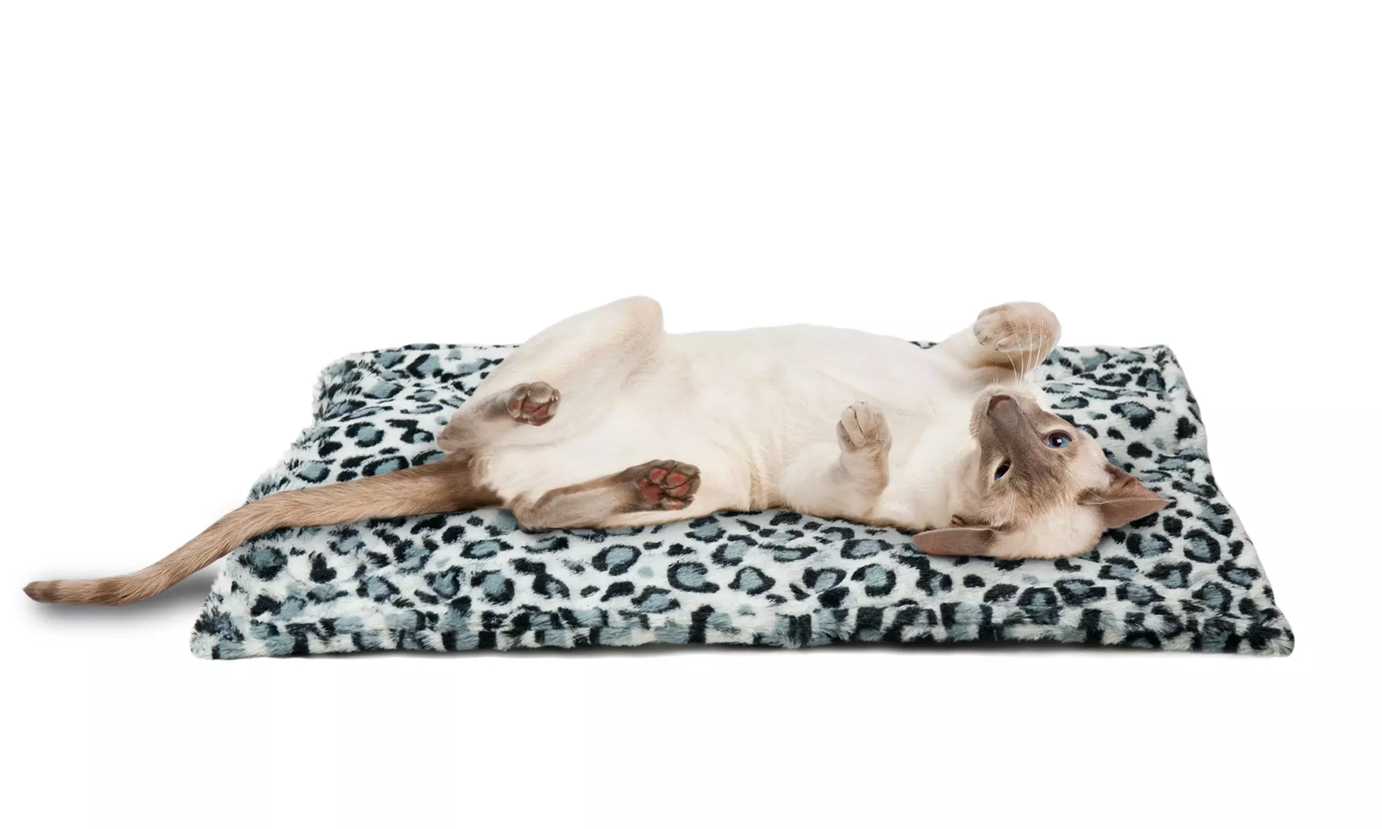 Furhaven Thermal Self-Warming Quilted Pet Bed - Primary Image