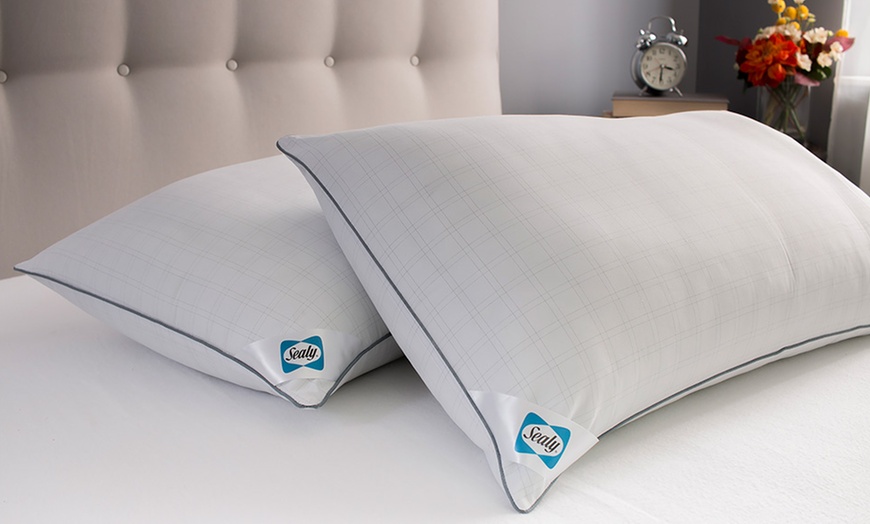 Image 1: Sealy Select Balance Pillows