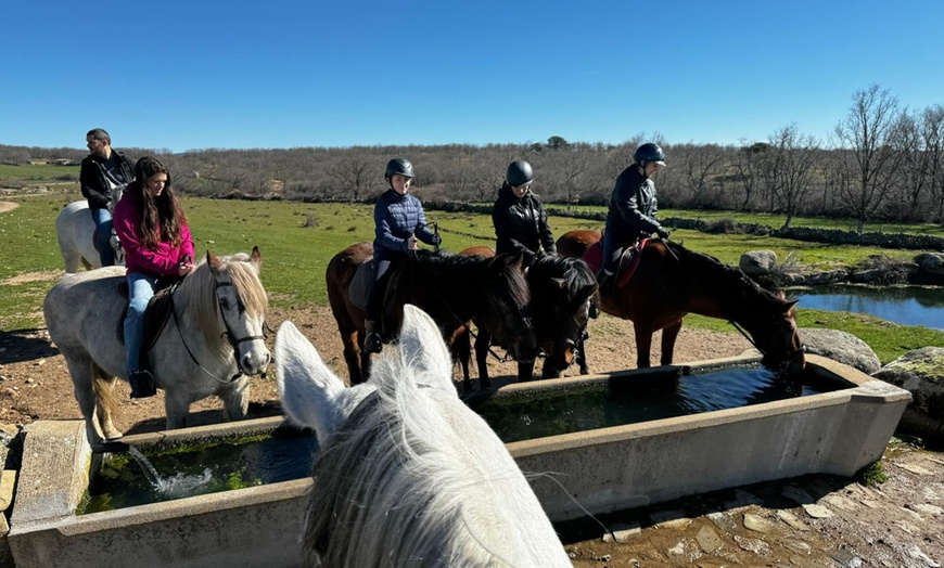 Image 3: Disfruta de un paseo a caballo de una hora para hasta 4 personas