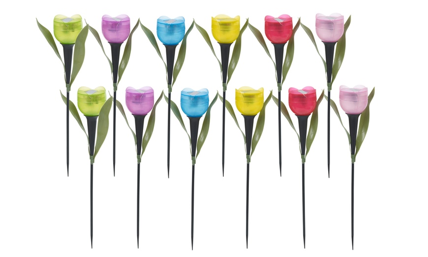 Image 14: Set of 6 or 12 Tulip-Shaped Garden Solar Lights