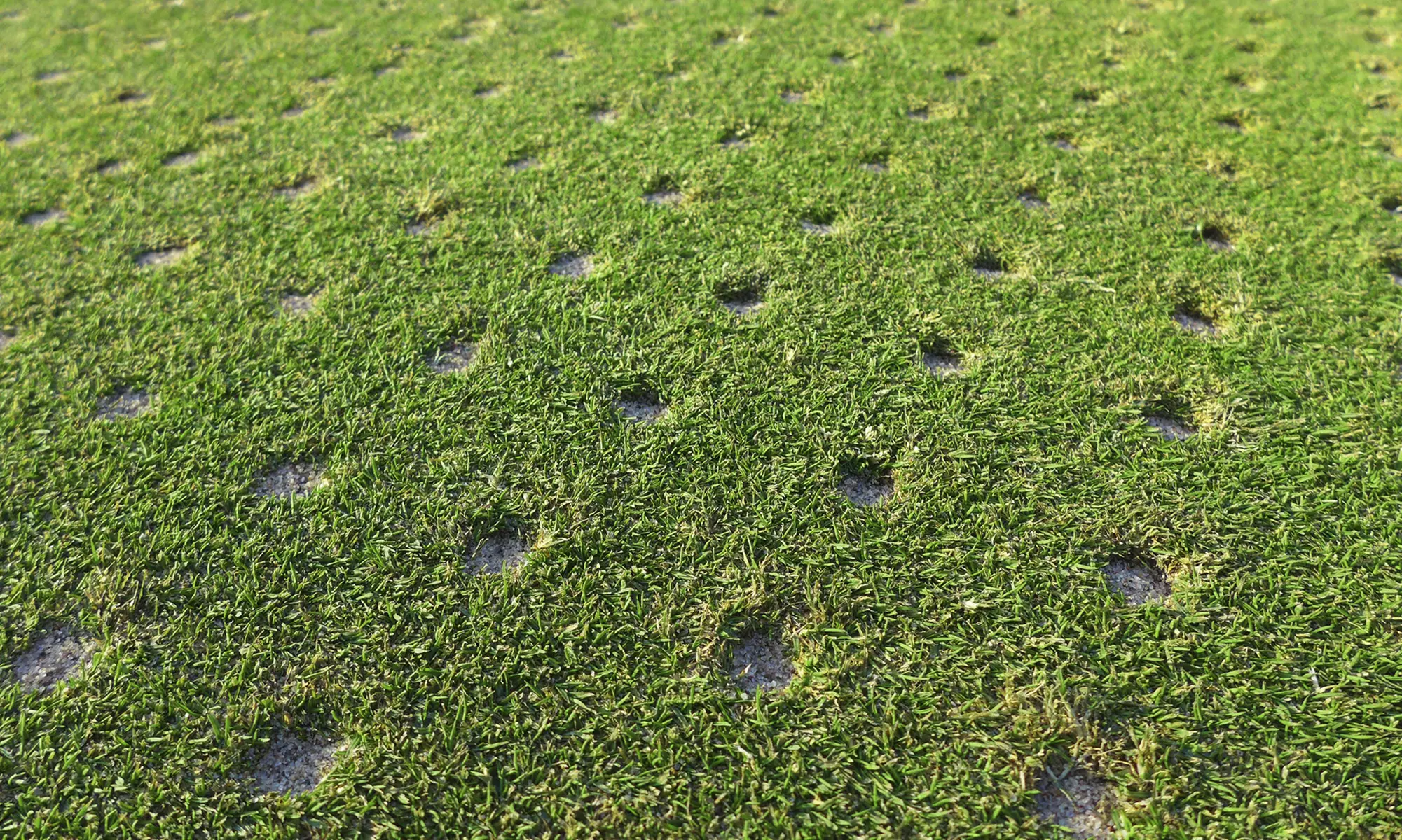 Up to 50% Off on Lawn Aeration Service at SeasonGreen Turf - Primary Image