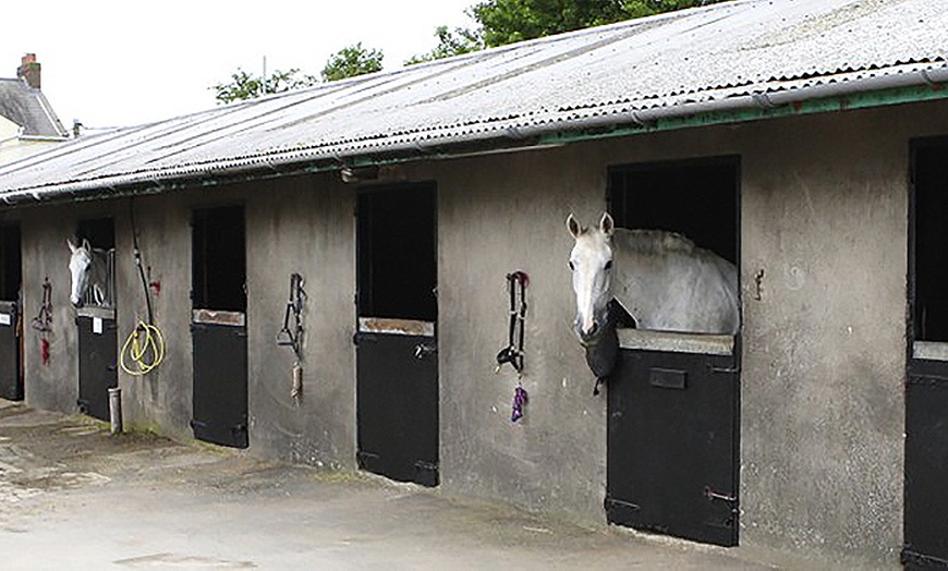 Image 3: 30-Minute Riding Lesson