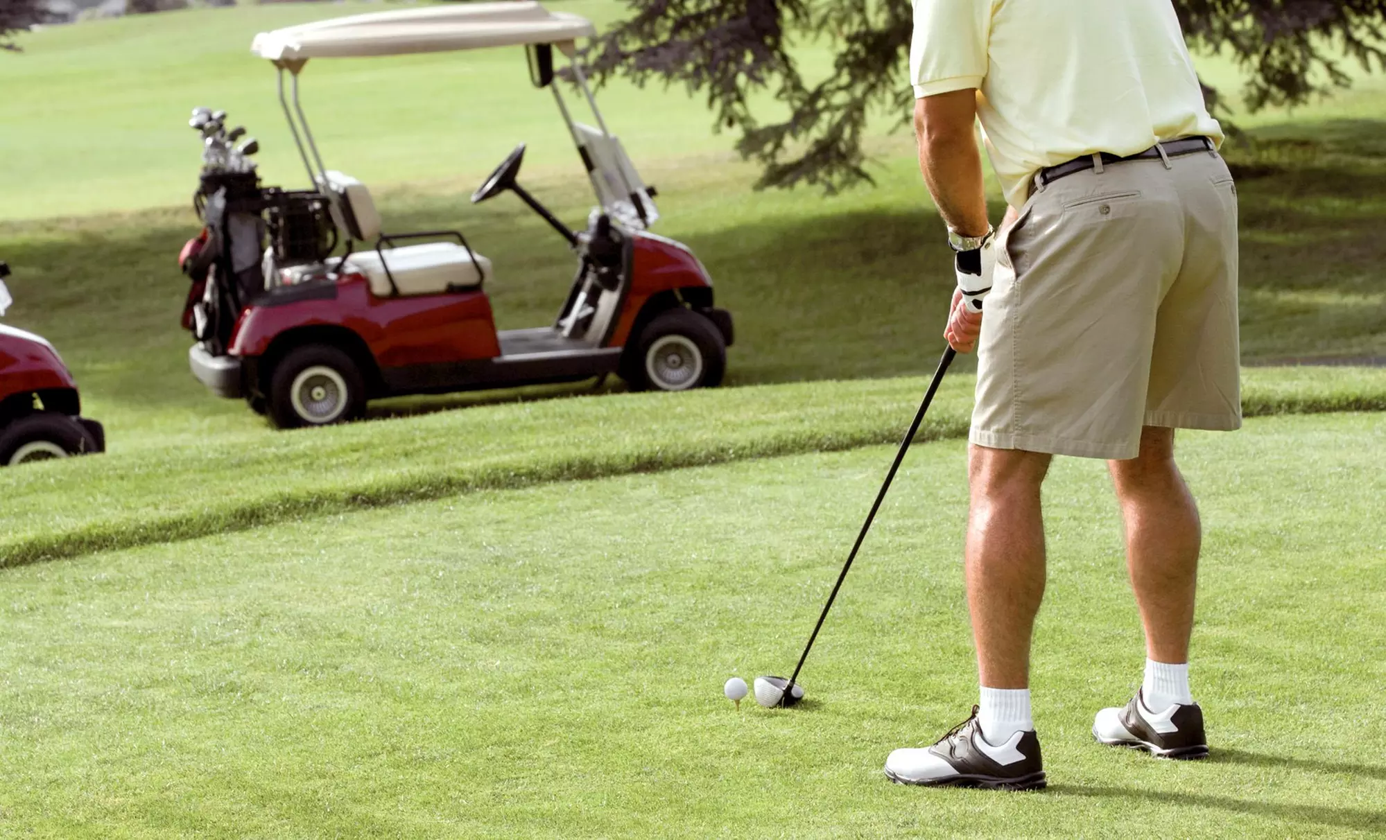 $120 for $200 Worth of Products — Better Golf Shot, LLC. - Primary Image