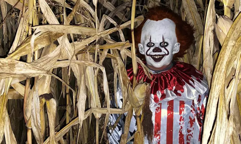 Dive into the Spooky Maze Adventure this Halloween at Spooktrail Haunted Maze and Enjoy Up To 40% Off
 - Primary Image