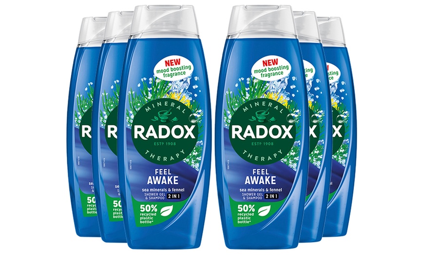 Image 4: Up to 12 Radox Shower Gels 450ml