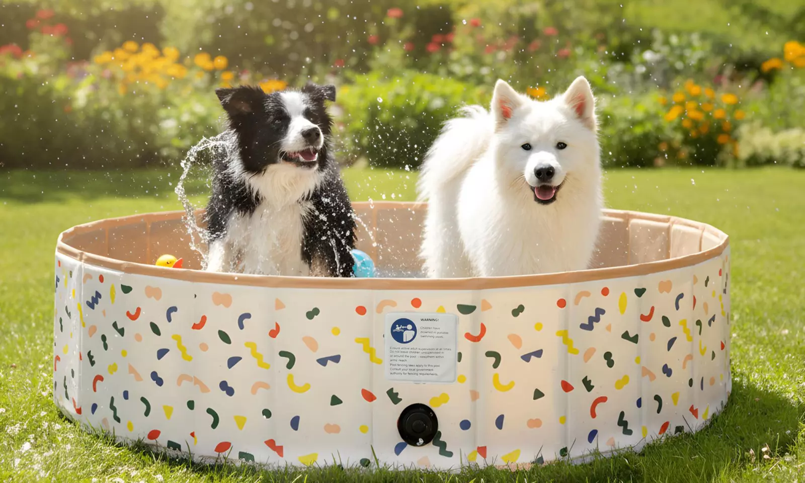 Skylos Pet Cooling Range – Foldable Pool and Interactive Splash Pad