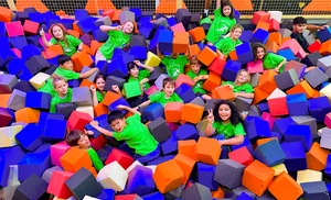 Up to 23% Off on Trampoline Park at Ferox Ninja Park