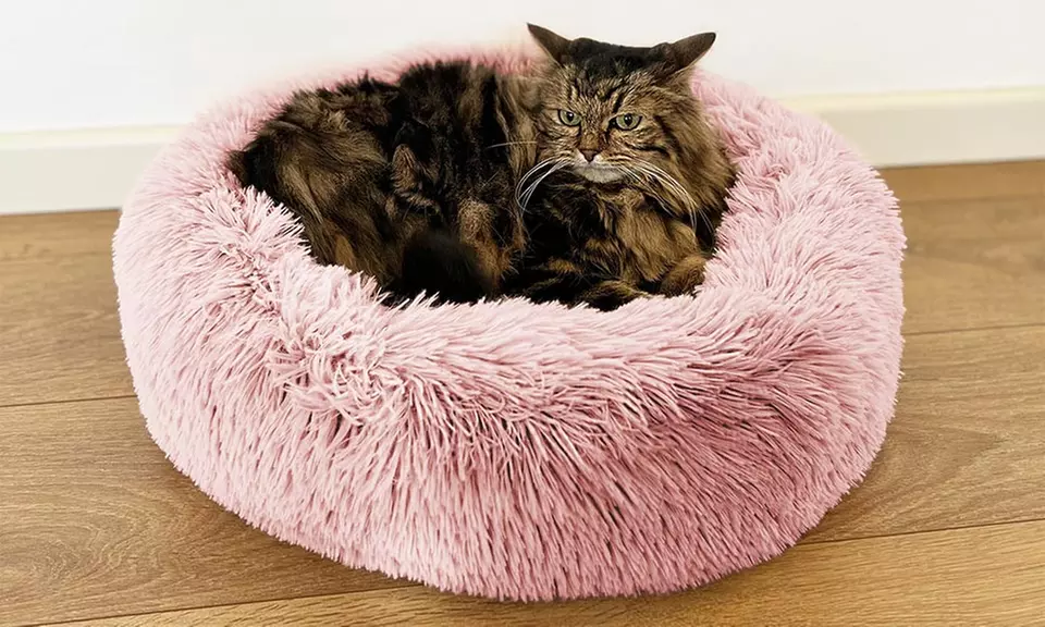 Cuccia extra-soffice per gatti e cani