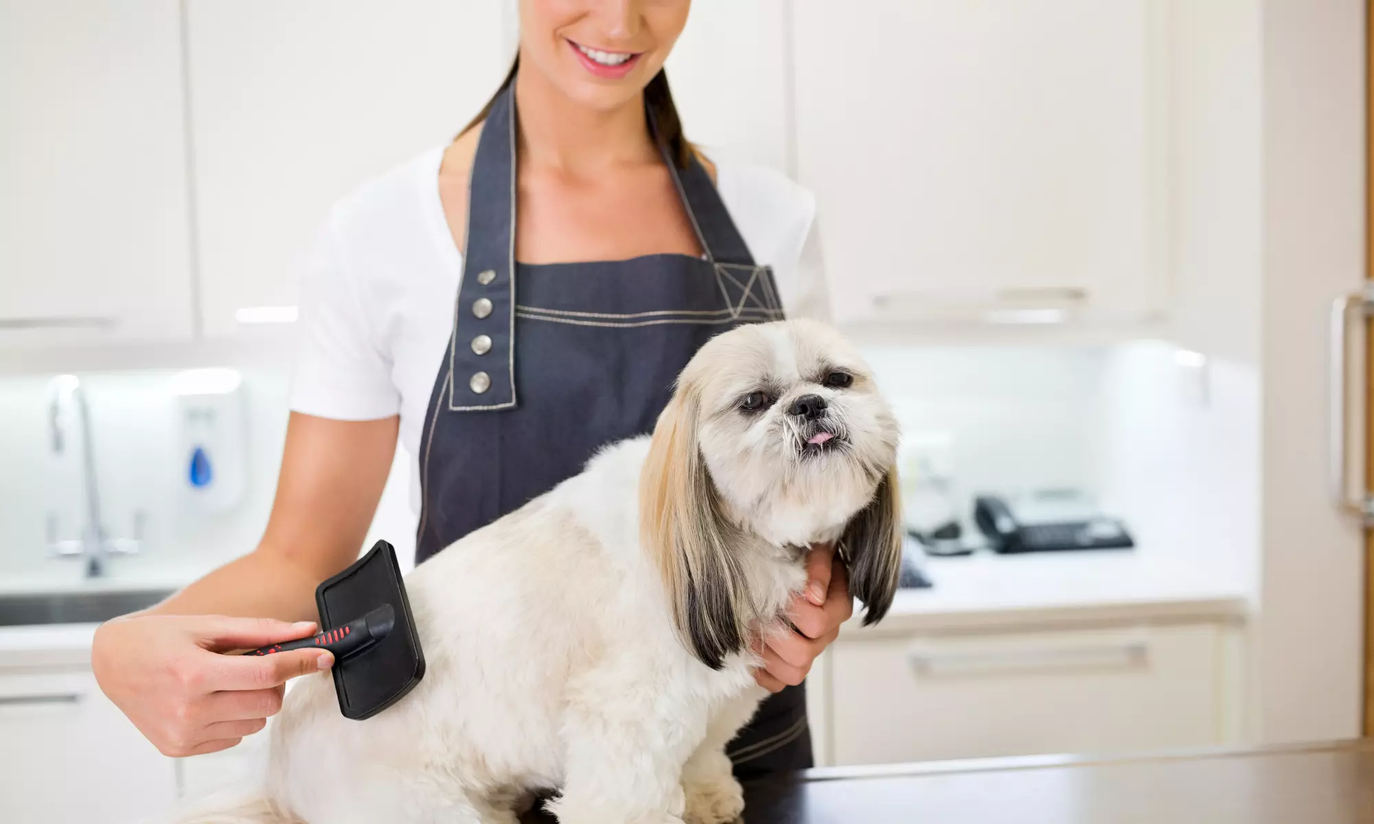 Full Dog-Grooming Service for Dogs at Ruff-N-Fluff Pet Grooming (Up to 50% Off) - Primary Image