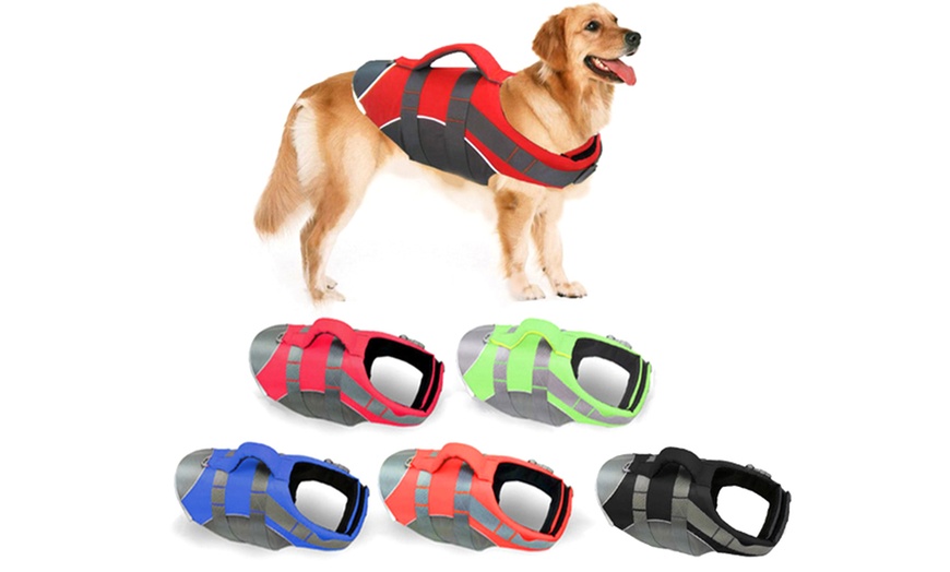 kong dog flotation vest