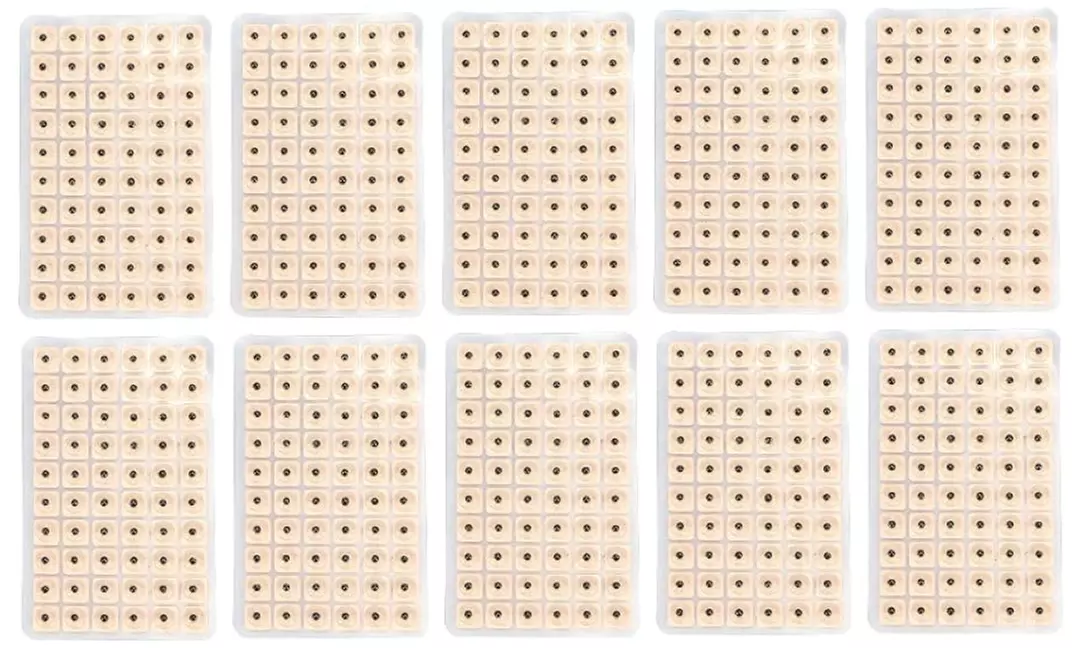 Bis zu 10x Acusoothe Ohrensamen für Akupressur und Akupunktur-Therapie