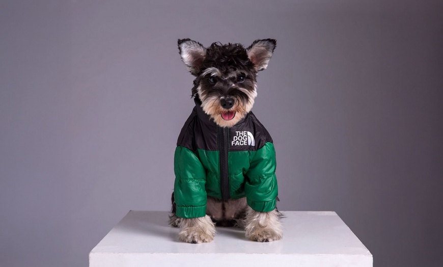 Image 5: Comfortable Winter Pet Jacket