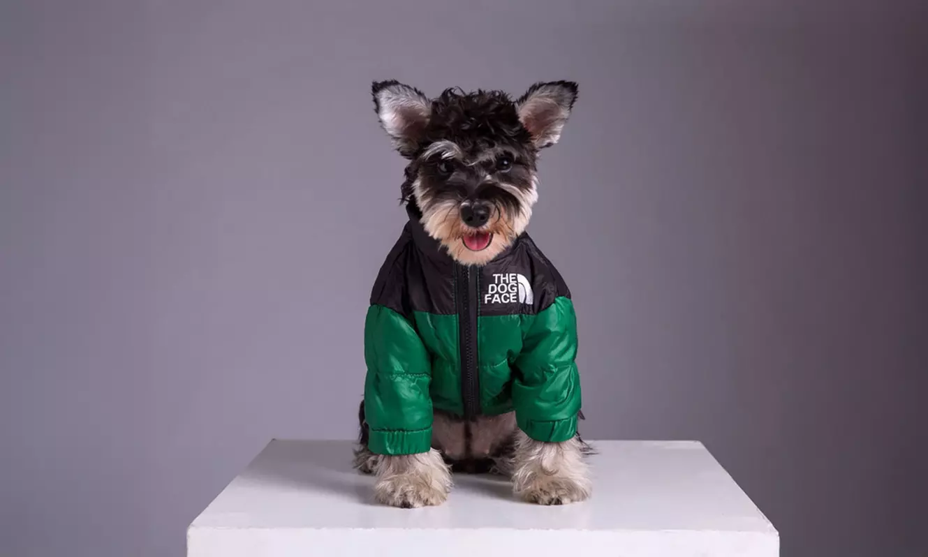 Comfortable Winter Pet Jacket