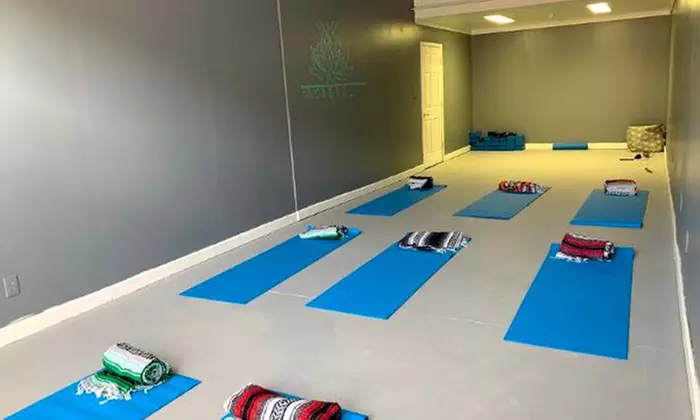 Five, Ten, or One Month of Unlimited Yoga Class Passes at Half Moon Vinyasa Yoga Studio (Up to 54% Off) - Primary Image