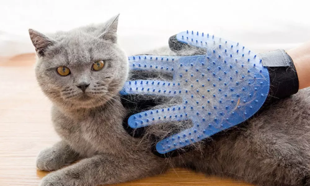 1 ou 2 gants de toilettage pour animaux, livraison offerte - Primary Image