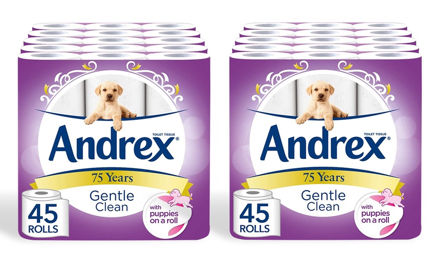 Image 5: Rolls of Andrex Gentle Clean Toilet Tissues