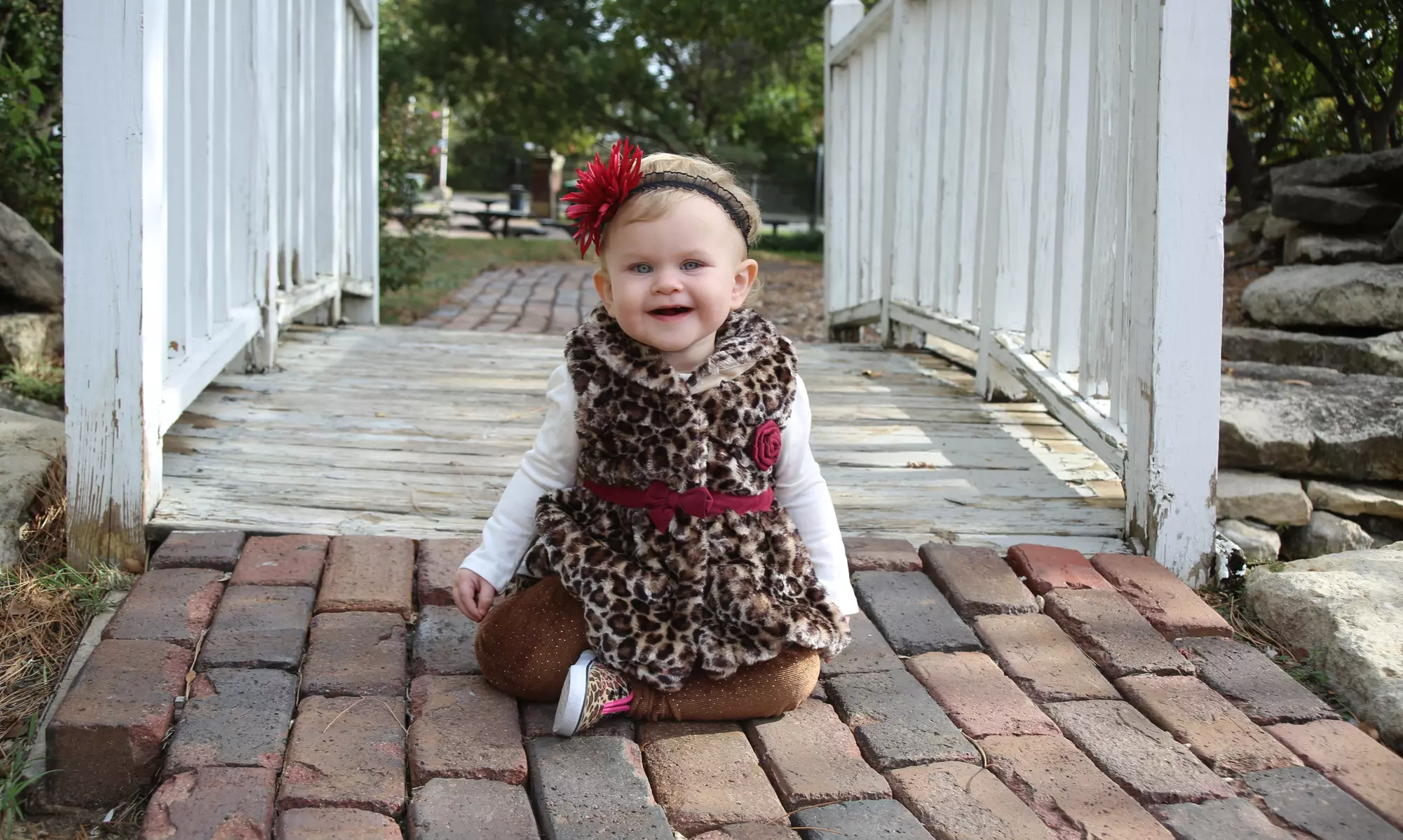 $172 for $300 Worth of Services — Heather Williams Photography - Primary Image