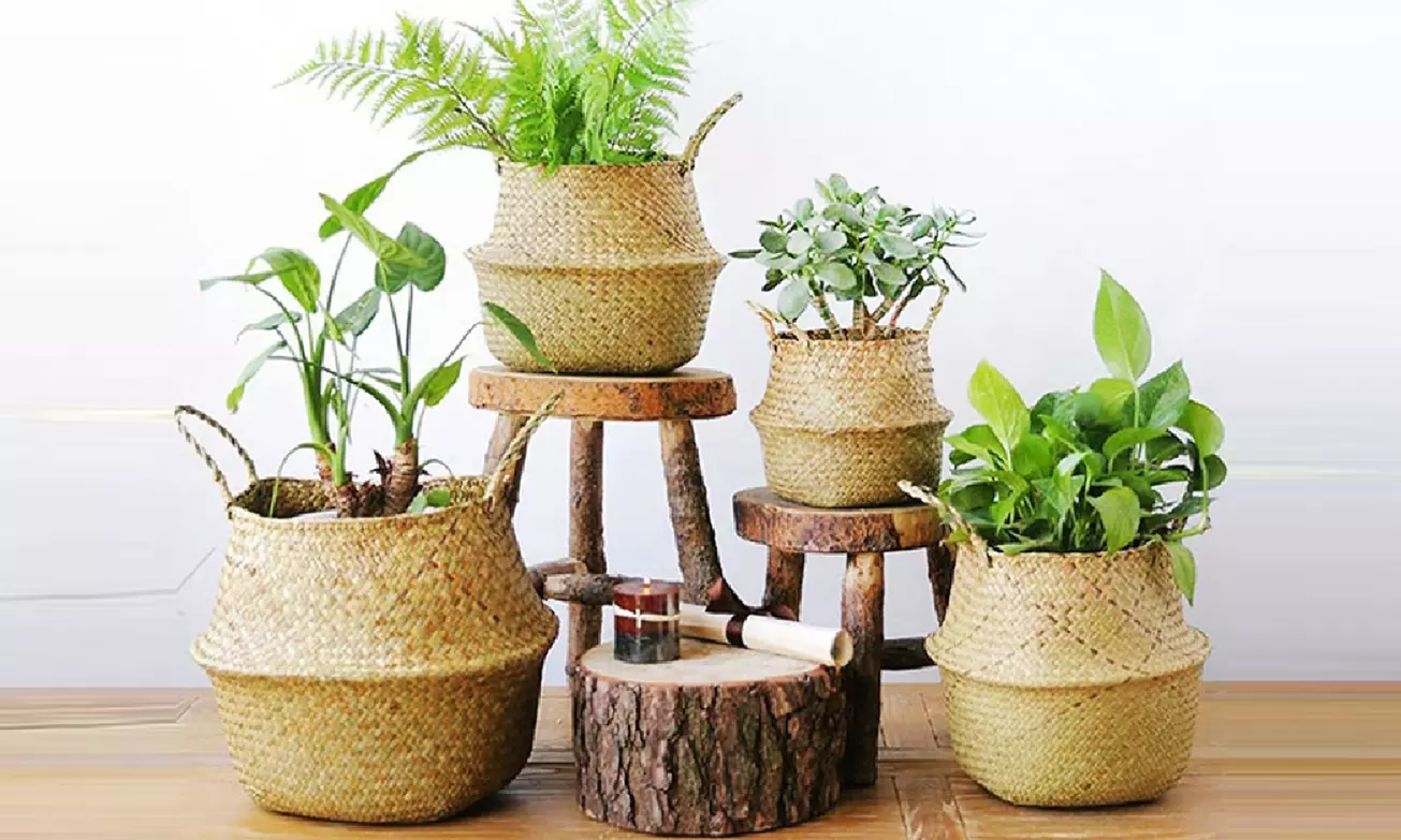 Panier pliable en jonc de mer pour le linge ou les plantes - Primary Image