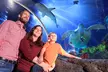 Standard-Ticket für 1 Kind oder 1 Erwachsenen für das SEA LIFE Konstanz - Second Medium