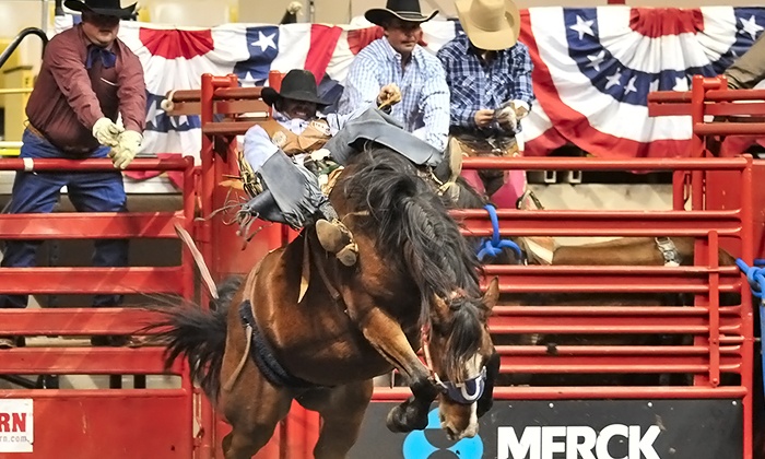 Cow Palace Seating Chart For Rodeo